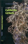 lichen book cover thumbnail graphic